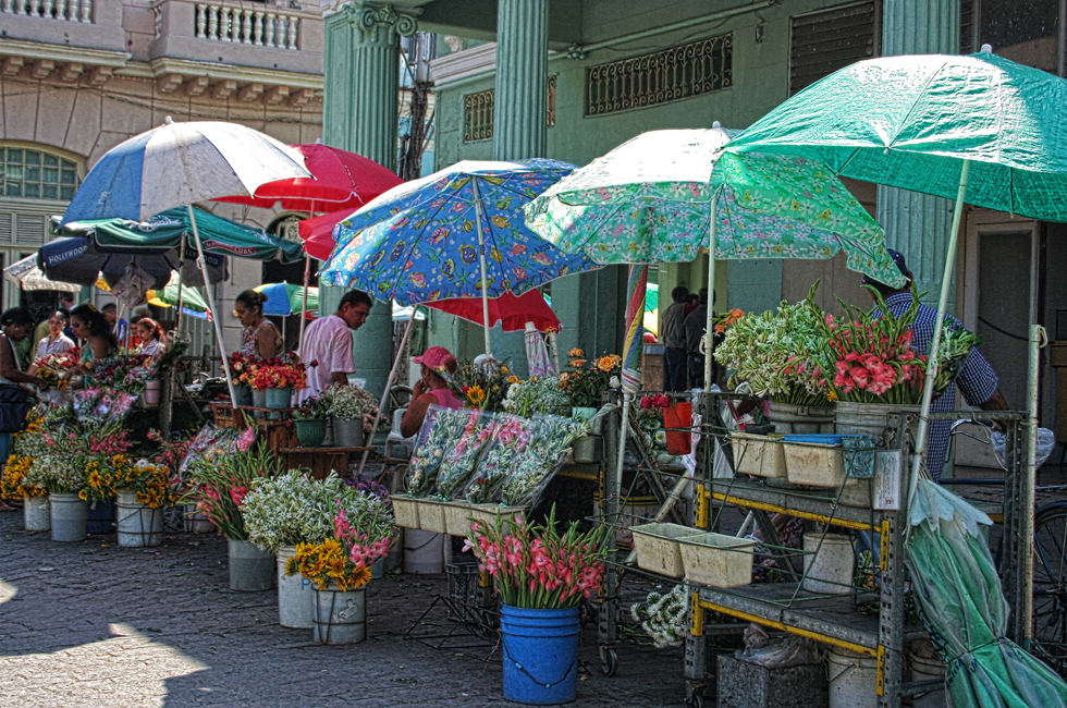 Imagen 12 de la galería de Cuba